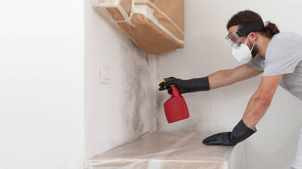 Professional Commercial Mold Remediation technician working in Mackinaw City, MI